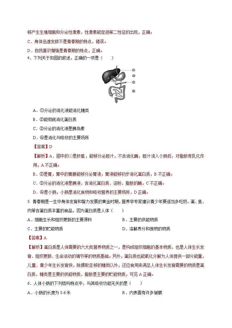初中生物中考复习 专题04 生物圈中的人-2020年中考冲刺专题卷（解析版）02