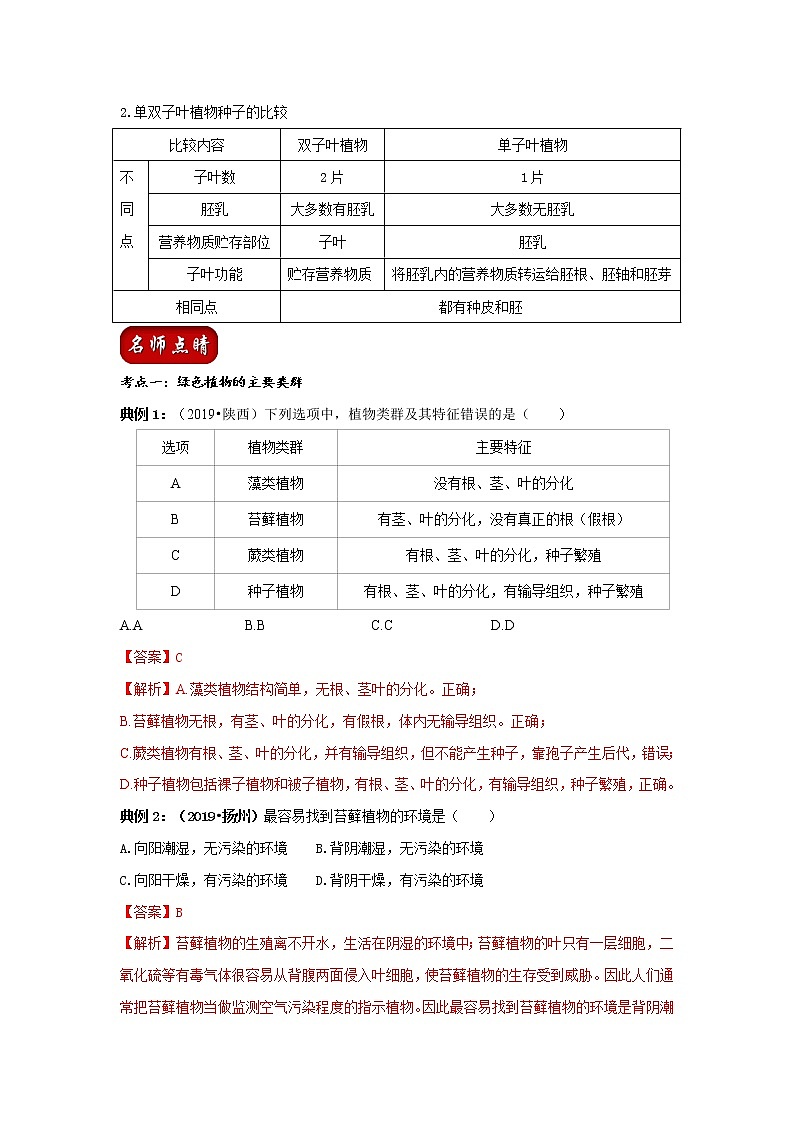 初中生物中考复习 专题04 生物圈中有哪些绿色植物（解析版）03