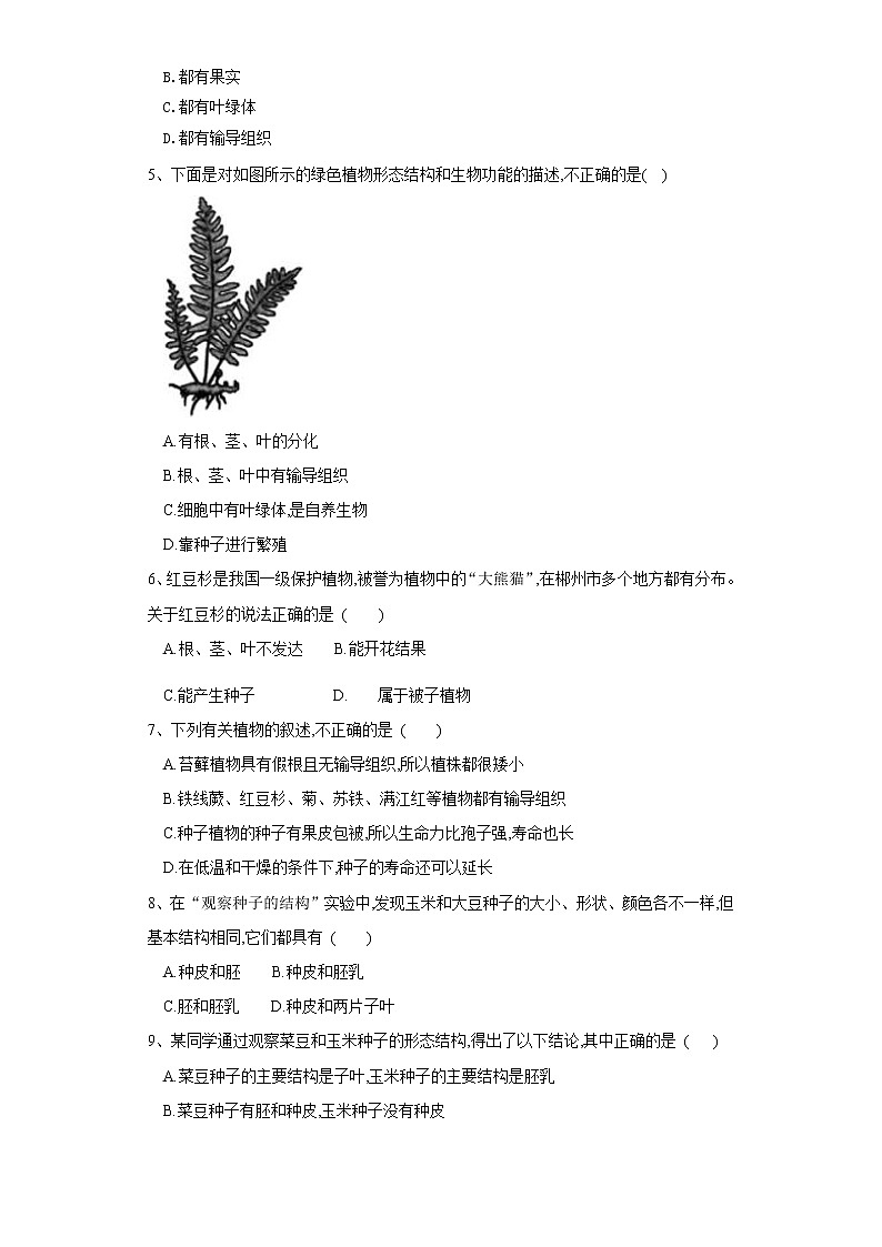 初中生物中考复习 专题04 生物圈中有哪些绿色植物（练习）（原卷版）02