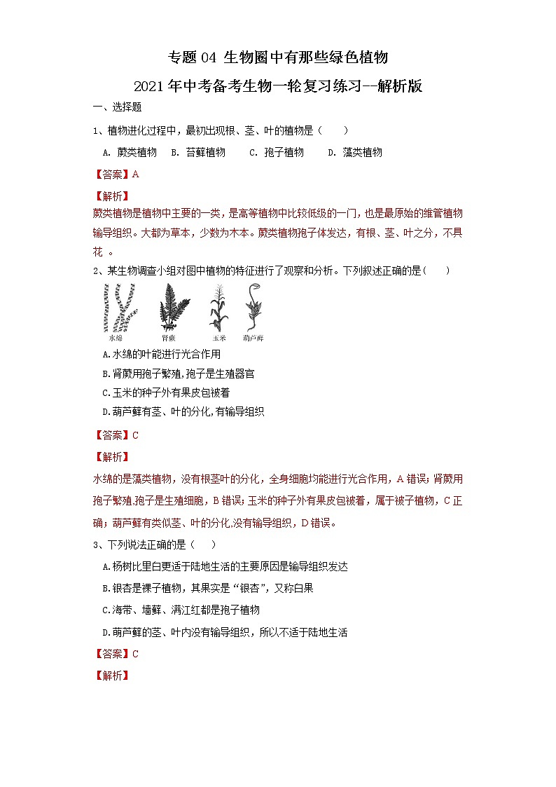 初中生物中考复习 专题04 生物圈中有哪些绿色植物（练习）（解析版）01