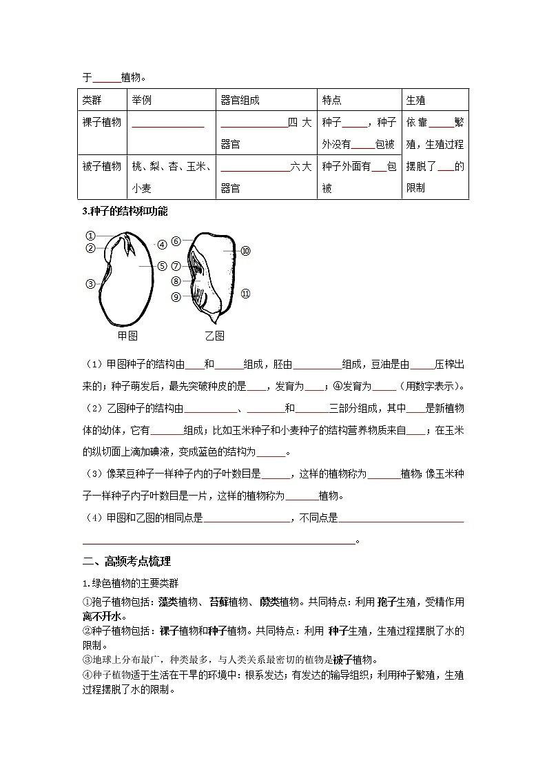 初中生物中考复习 专题04 生物圈中有哪些绿色植物（原卷版）02