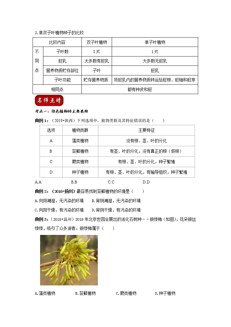 初中生物中考复习 专题04 生物圈中有哪些绿色植物（原卷版）03