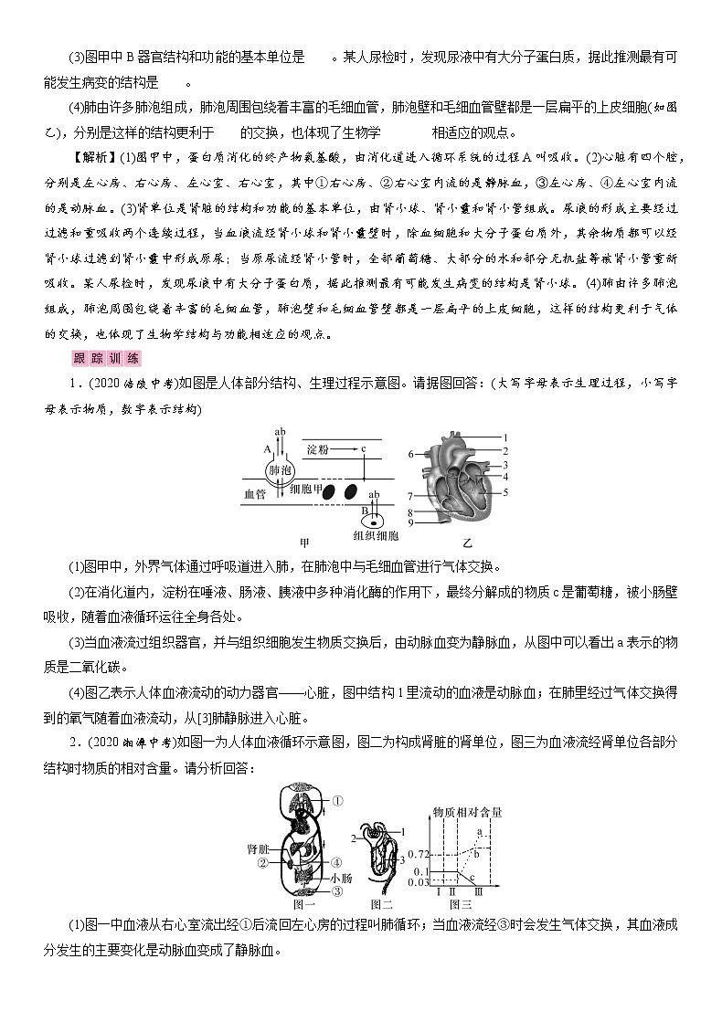 初中生物中考复习 专题4　生物圈中的人 讲义 2021年中考生物突破复习第2页