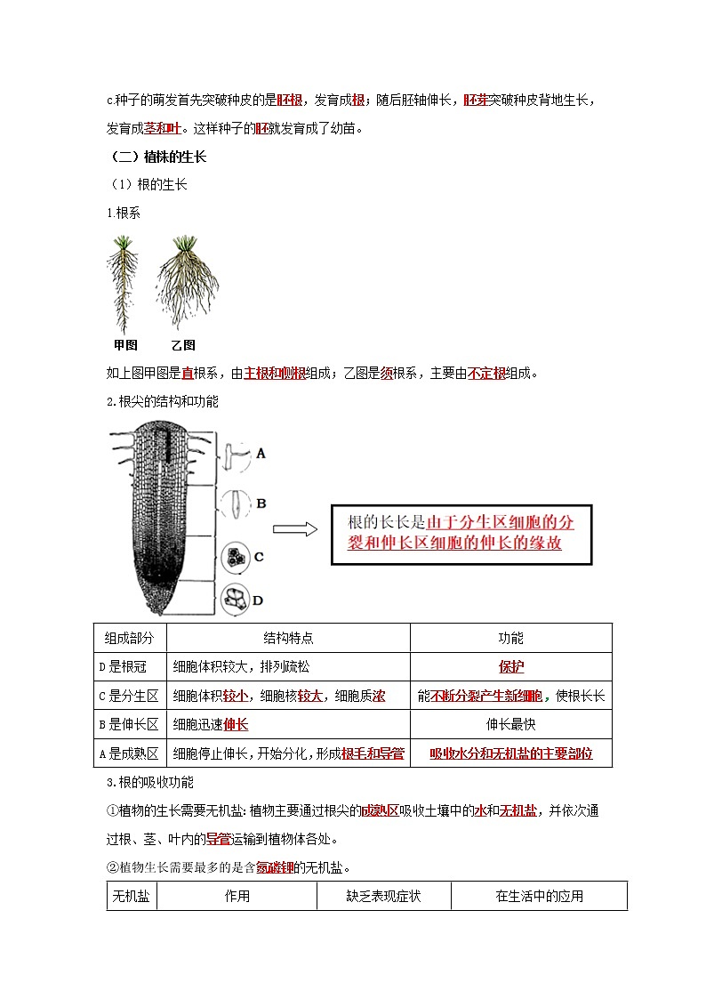 初中生物中考复习 专题05 被子植物的一生（解析版）第2页