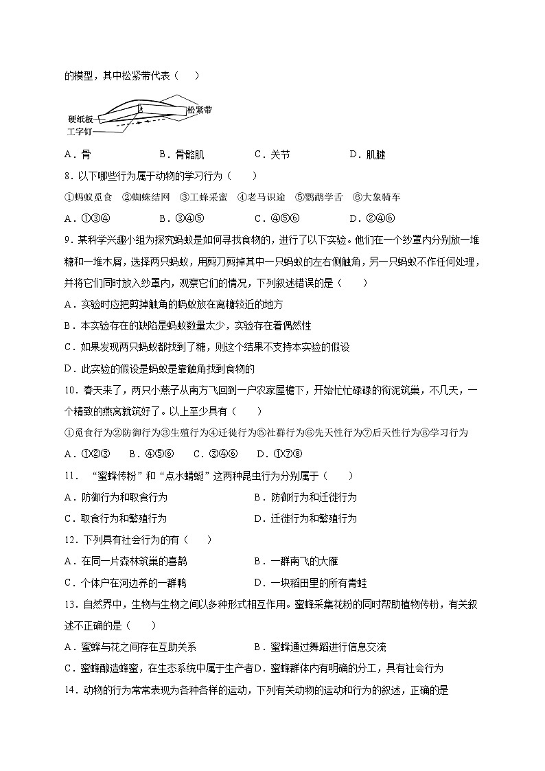 初中生物中考复习 专题05 动物的运动和行为-2020年中考冲刺专题卷（原卷版）02