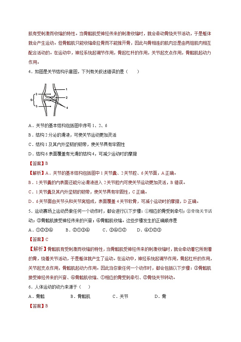 初中生物中考复习 专题05 动物的运动和行为-2020年中考冲刺专题卷（解析版）第2页