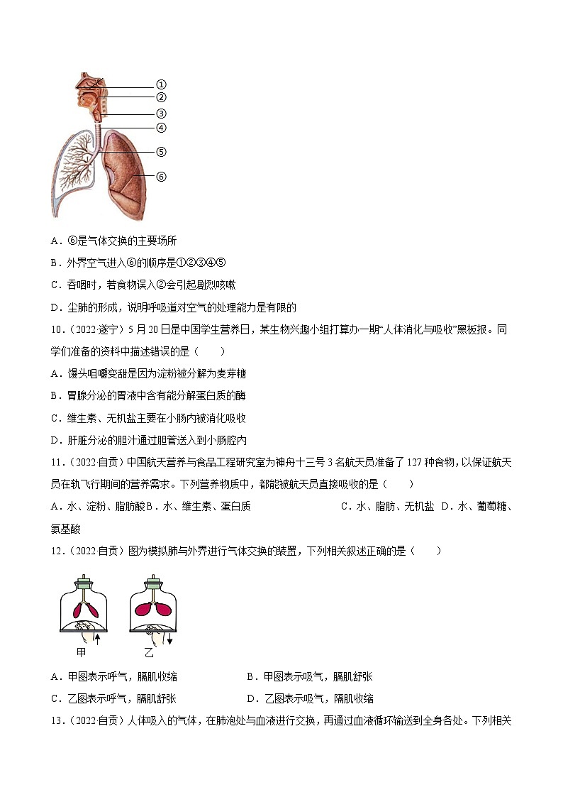 初中生物中考复习 专题05 人体的营养和呼吸-2022年中考生物真题分项汇编 （全国通用）（原卷版）03