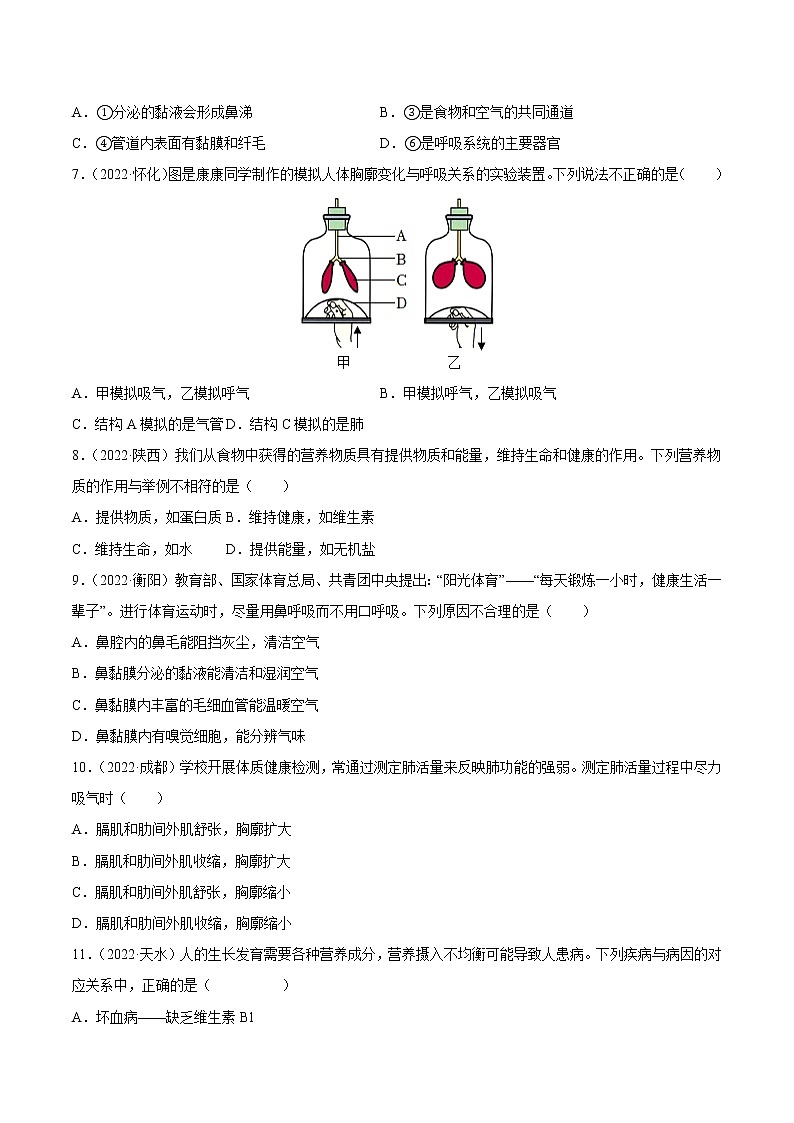 初中生物中考复习 专题05 人体的营养和呼吸-三年（2020-2022）中考生物真题分项汇编（全国通用）（原卷版）第3页
