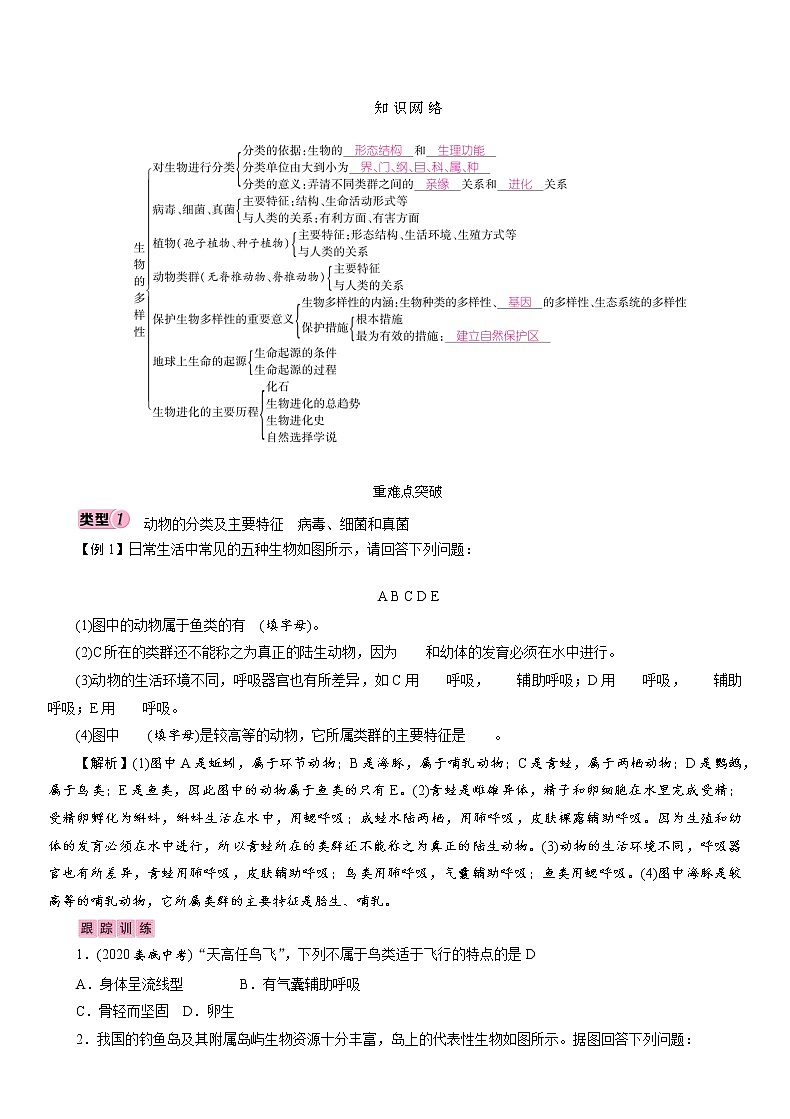 初中生物中考复习 专题5　生物的多样性 讲义 2021年中考生物突破复习第1页