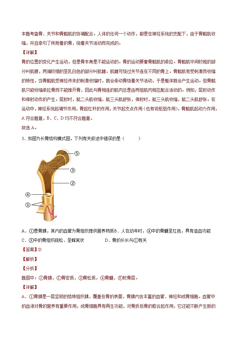 初中生物中考复习 专题06 动物的运动和行为（综合提分练）-【过专题】2022年中考生物二轮精准高效复习（解析版）第2页