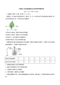 初中生物中考复习 专题06 绿色植物的光合作用和呼吸作用（原卷版）