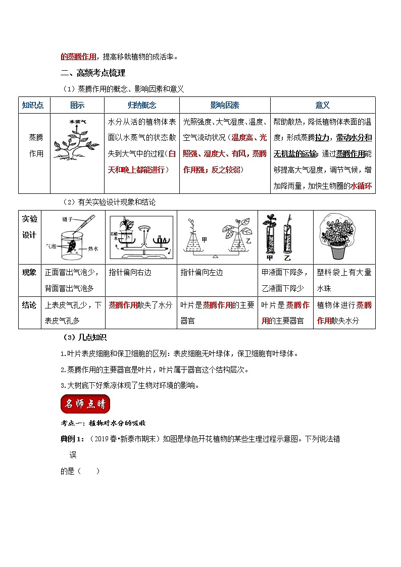 初中生物中考复习 专题06 绿色植物的蒸腾作用（解析版）第2页