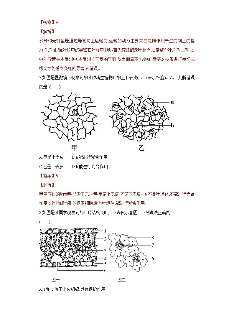 初中生物中考复习 专题06 绿色植物与生物圈的水循环（练习）（解析版）第3页