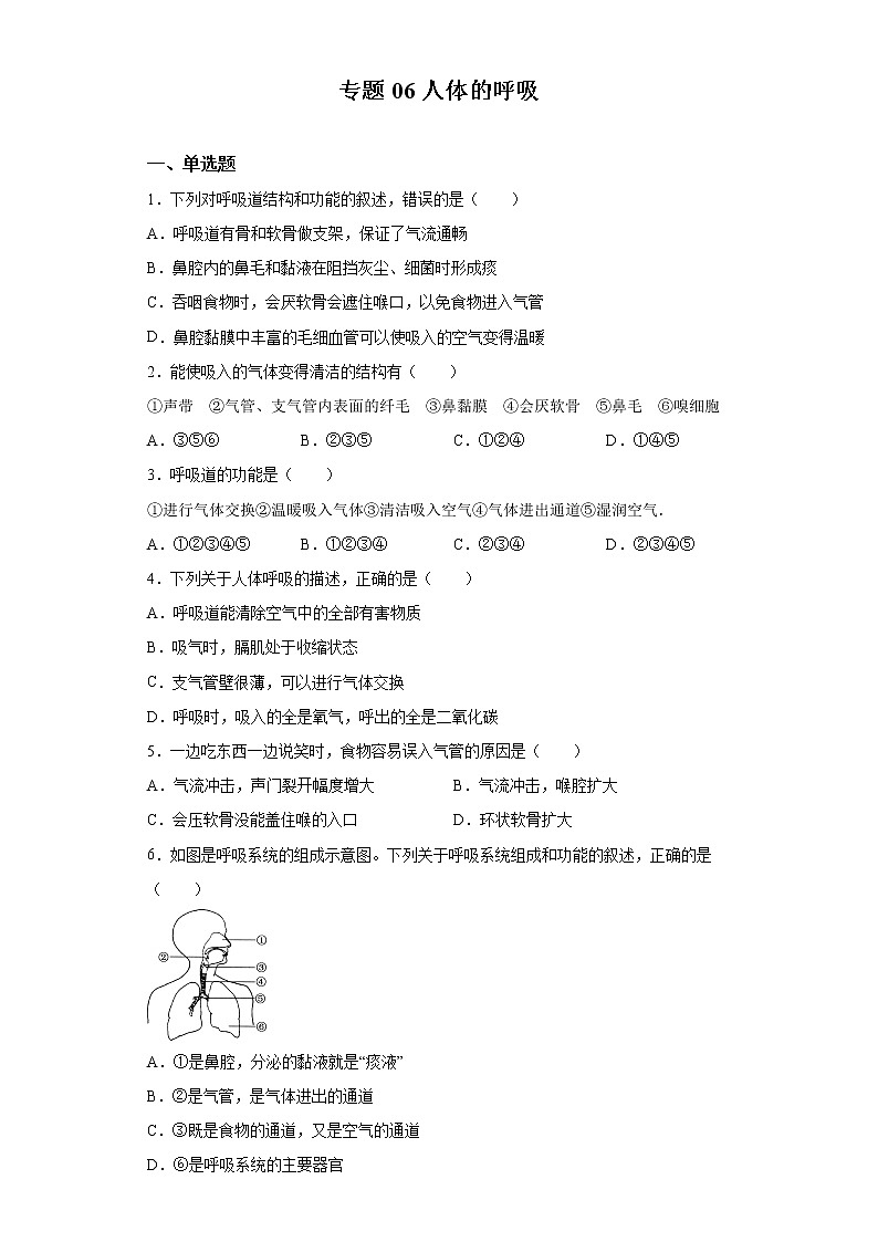 初中生物中考复习 专题06 人体的呼吸（原卷版）01