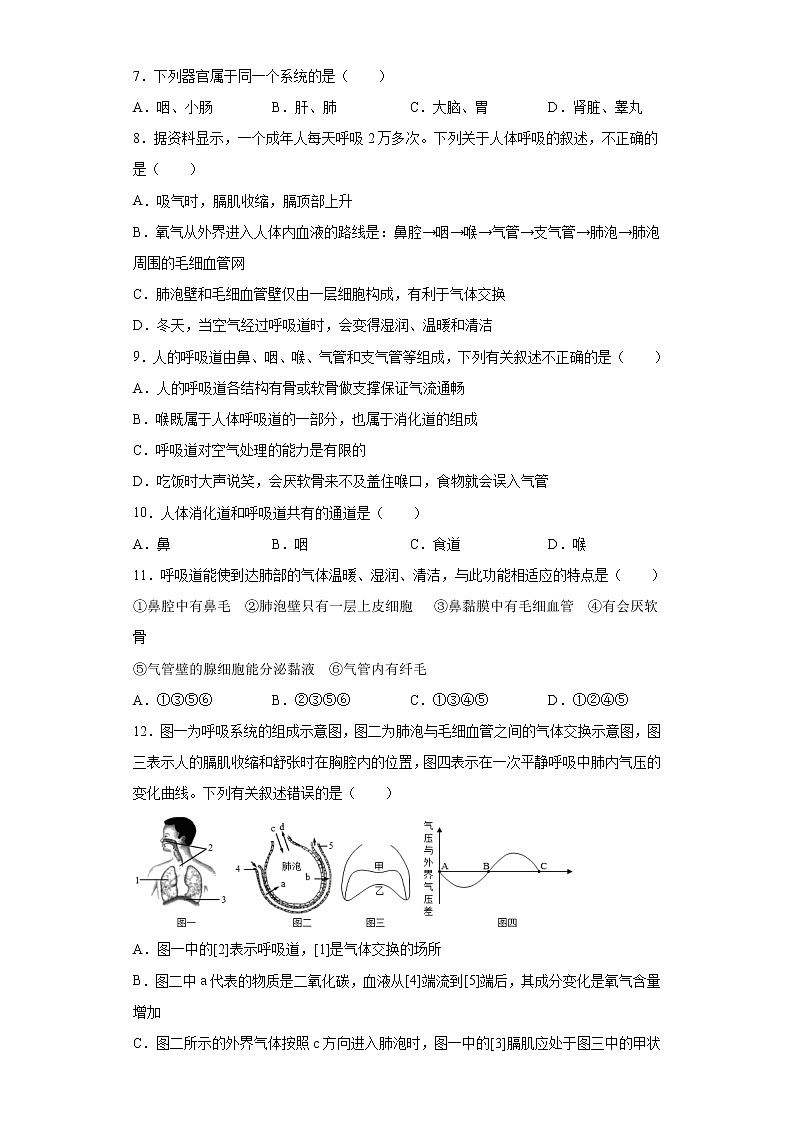 初中生物中考复习 专题06 人体的呼吸（原卷版）02