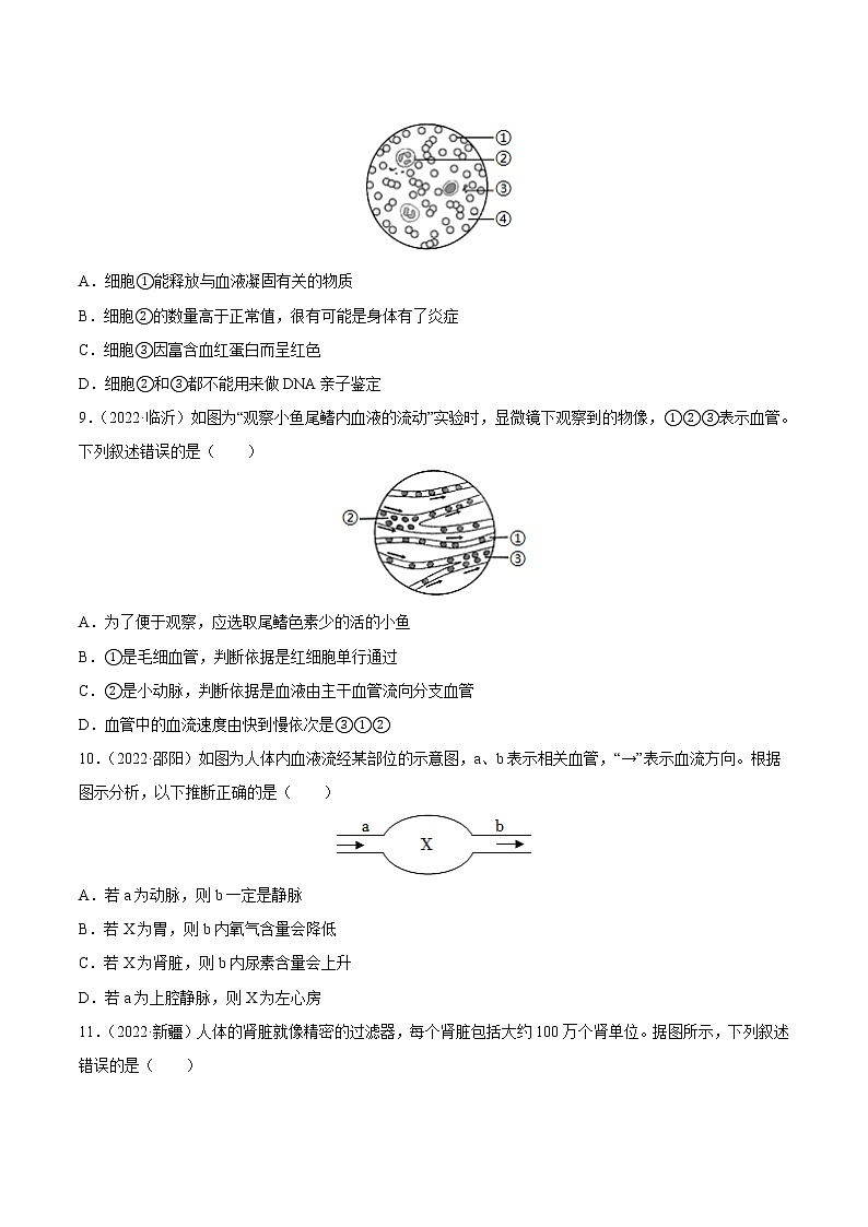 初中生物中考复习 专题06 人体的物质运输和废物排出-三年（2020-2022）中考生物真题分项汇编（全国通用）（原卷版）第3页