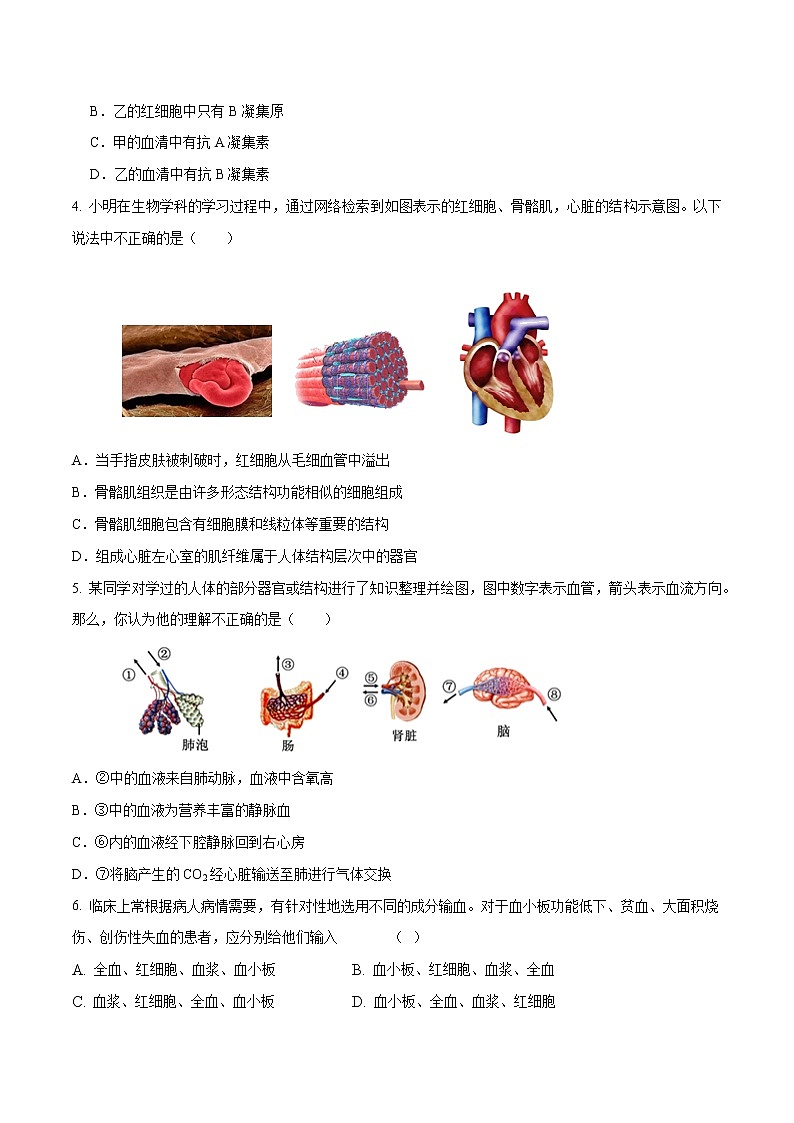 初中生物中考复习 专题06 人体内物质的运输-2020年中考生物挑战压轴题（原卷版）第2页