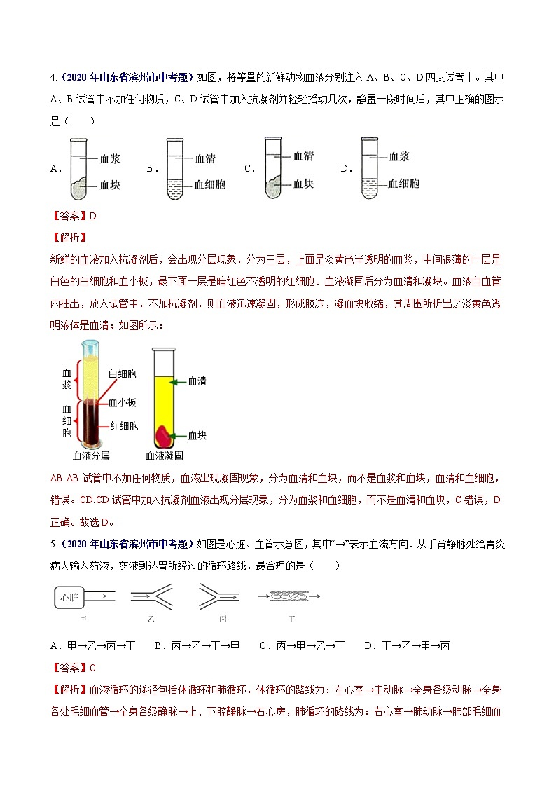 初中生物中考复习 专题06 人体内物质运输和废物排出-2020年中考生物真题分项汇编（全国通用）（解析版）02