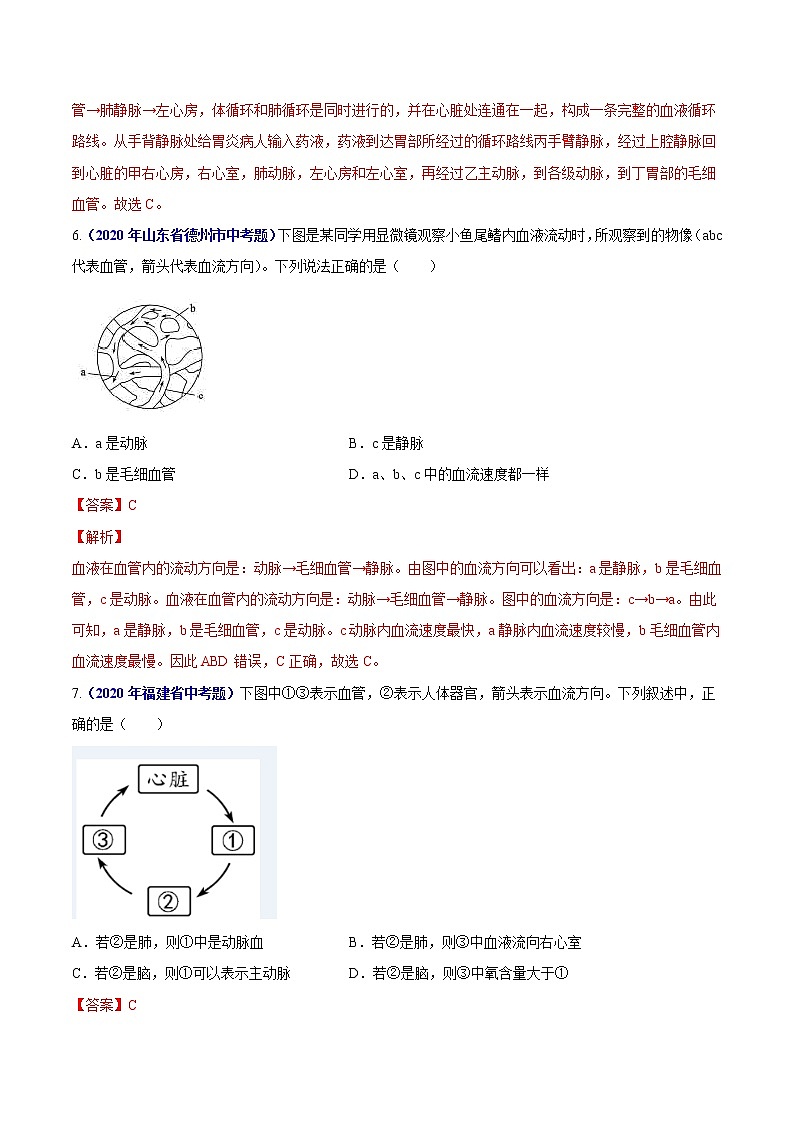 初中生物中考复习 专题06 人体内物质运输和废物排出-2020年中考生物真题分项汇编（全国通用）（解析版）03