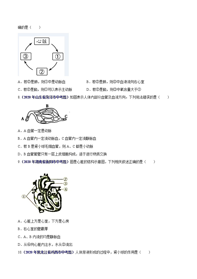 初中生物中考复习 专题06 人体内物质运输和废物排出-2020年中考生物真题分项汇编（全国通用）（原卷版）第2页