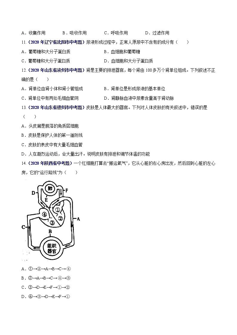 初中生物中考复习 专题06 人体内物质运输和废物排出-2020年中考生物真题分项汇编（全国通用）（原卷版）第3页
