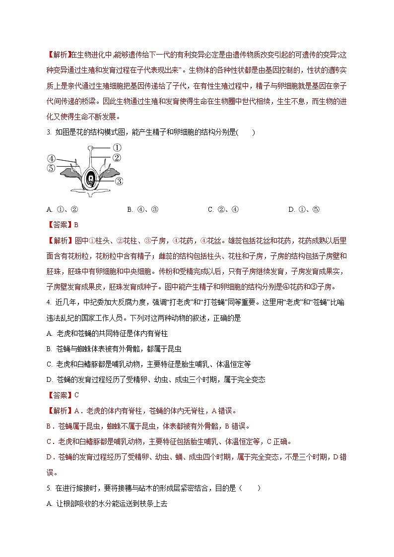 初中生物中考复习 专题06 生物的生殖、发育和遗传-2020年中考生物冲刺专题卷（解析版）02