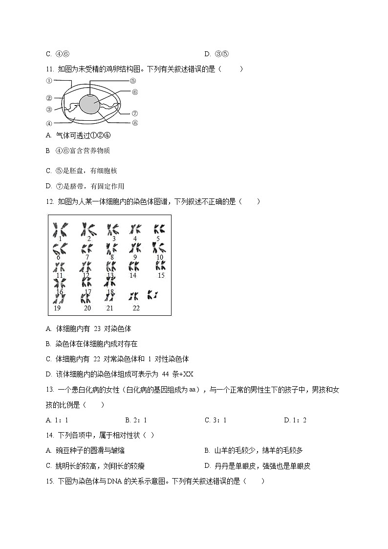 初中生物中考复习 专题06 生物的生殖、发育和遗传-2020年中考生物冲刺专题卷（原卷版）第3页