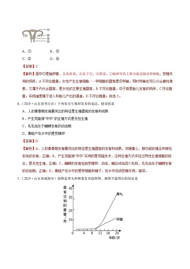 初中生物中考复习 专题06 生物的生殖、发育与遗传（第01期）-2019年中考真题生物试题分项汇编（解析版）03