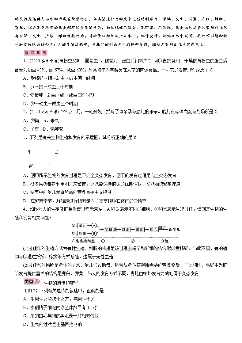 初中生物中考复习 专题6　生物的生殖、发育与遗传 讲义 2021年中考生物突破复习第2页