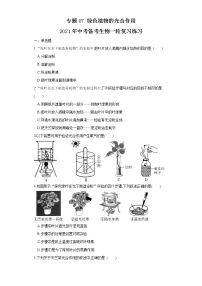 初中生物中考复习 专题07 绿色植物的光合作用（练习）（原卷版）