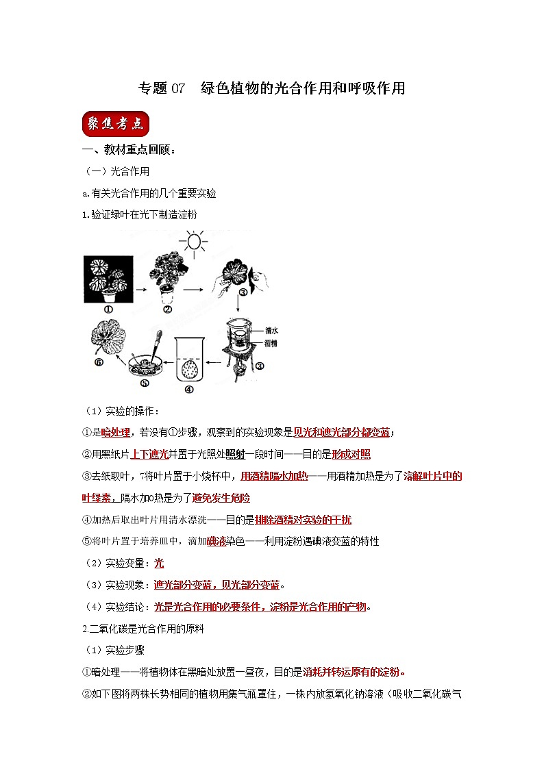 初中生物中考复习 专题07 绿色植物的光合作用和呼吸作用（解析版）第1页