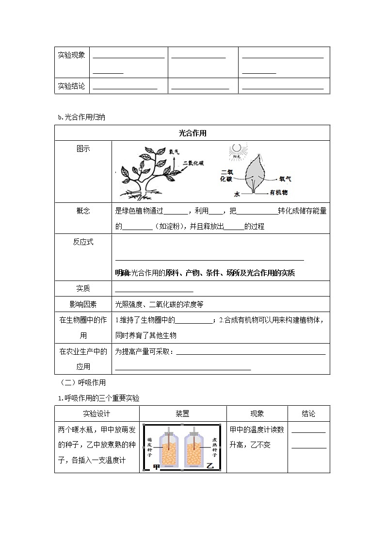 初中生物中考复习 专题07 绿色植物的光合作用和呼吸作用（原卷版）第3页