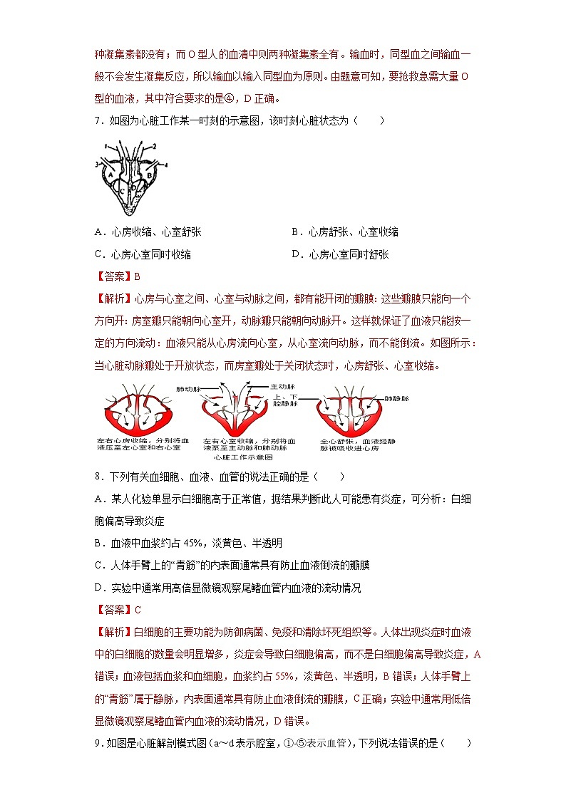 初中生物中考复习 专题07 人体内物质的运输（解析版）第3页