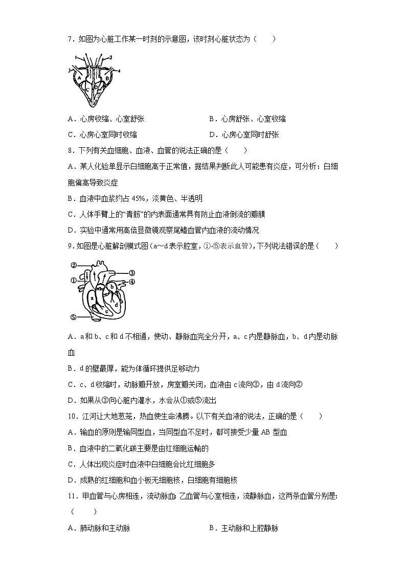 初中生物中考复习 专题07 人体内物质的运输（原卷版）第2页