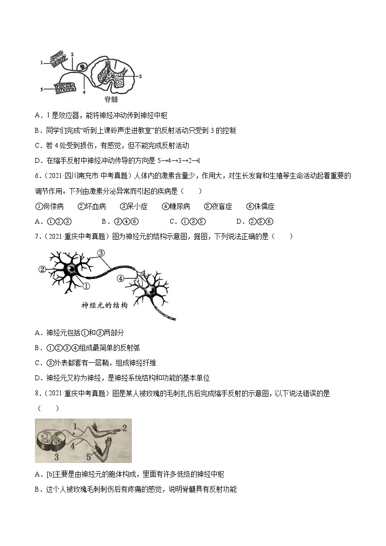 初中生物中考复习 专题07 人体生命活动的调节-2021年中考生物真题分项汇编（全国通用）（第1期）（原卷版）第2页