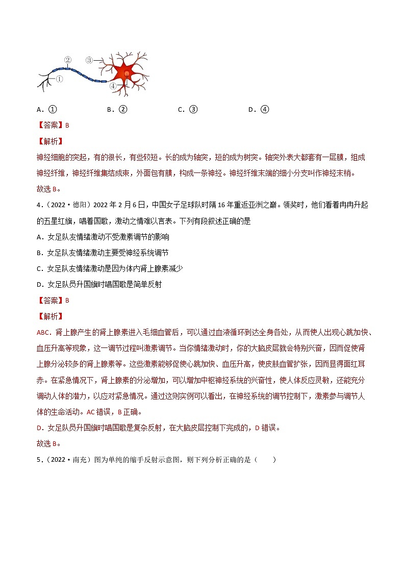 初中生物中考复习 专题07 人体生命活动的调节-2022年中考生物真题分项汇编 （全国通用）（解析版）02