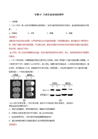 初中生物中考复习 专题07 人体生命活动的调节-三年（2020-2022）中考生物真题分项汇编（全国通用）（解析版）