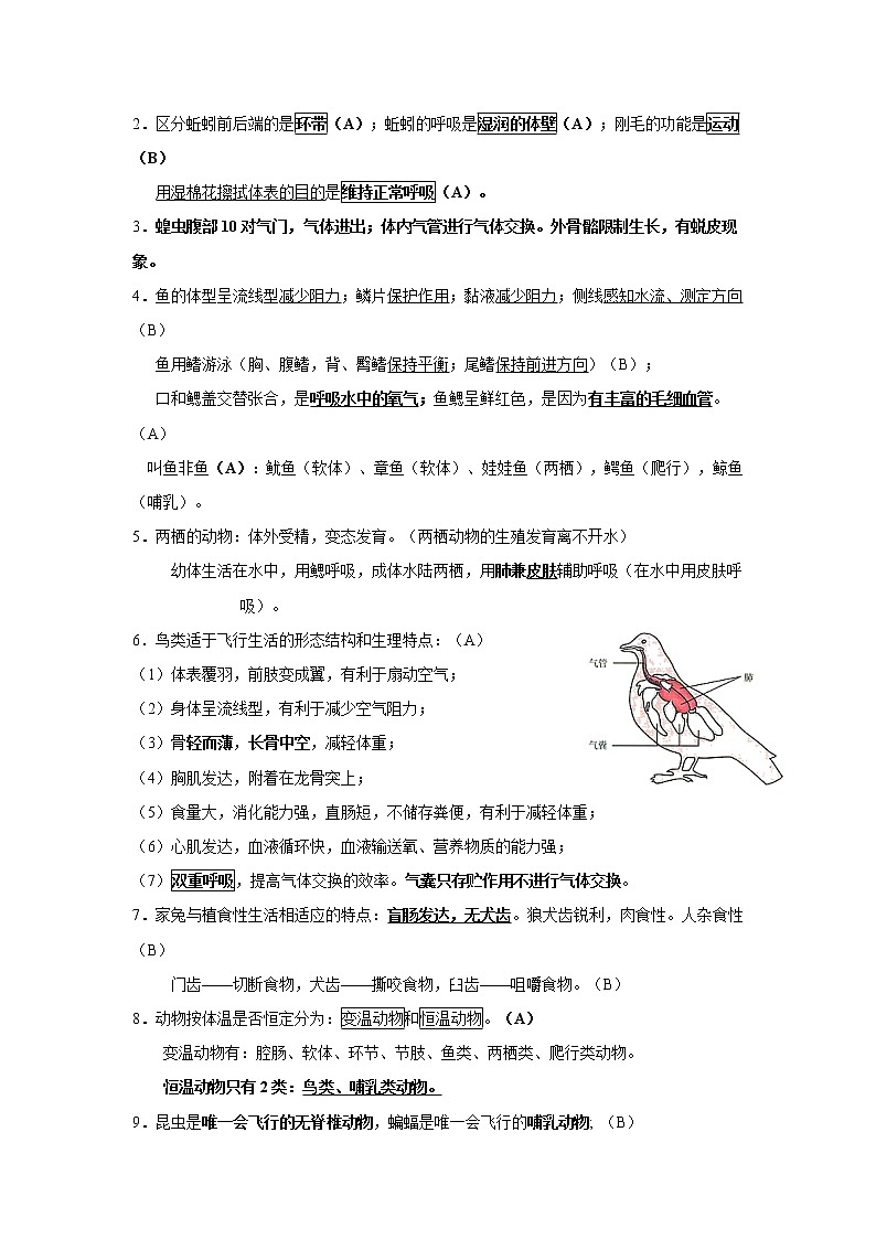 初中生物中考复习 专题07 生物圈中的其他生物-【口袋书】2020年中考生物必背知识手册（人教版）第2页