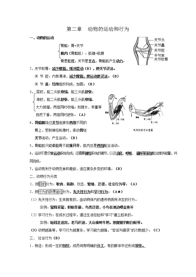 初中生物中考复习 专题07 生物圈中的其他生物-【口袋书】2020年中考生物必背知识手册（人教版）第3页