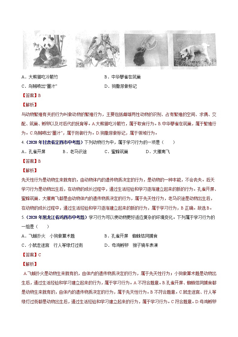 初中生物中考复习 专题08 动物的运动和行为-2020年中考生物真题分项汇编（全国通用）（解析版）02