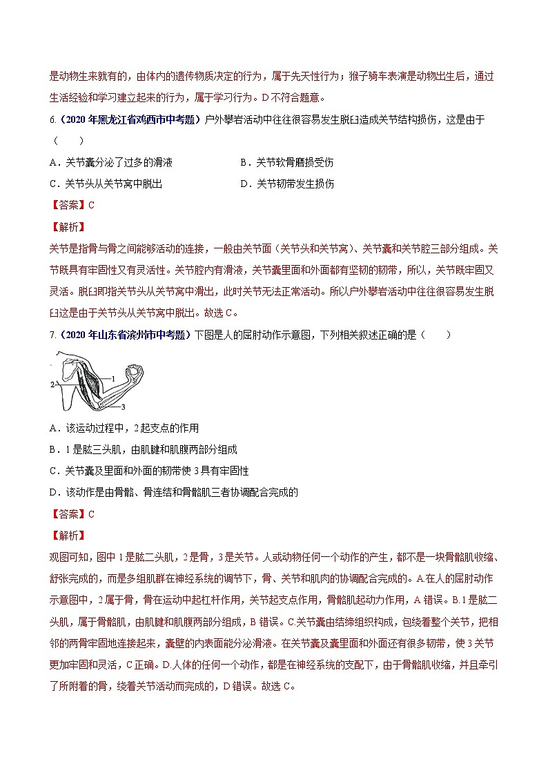 初中生物中考复习 专题08 动物的运动和行为-2020年中考生物真题分项汇编（全国通用）（解析版）03