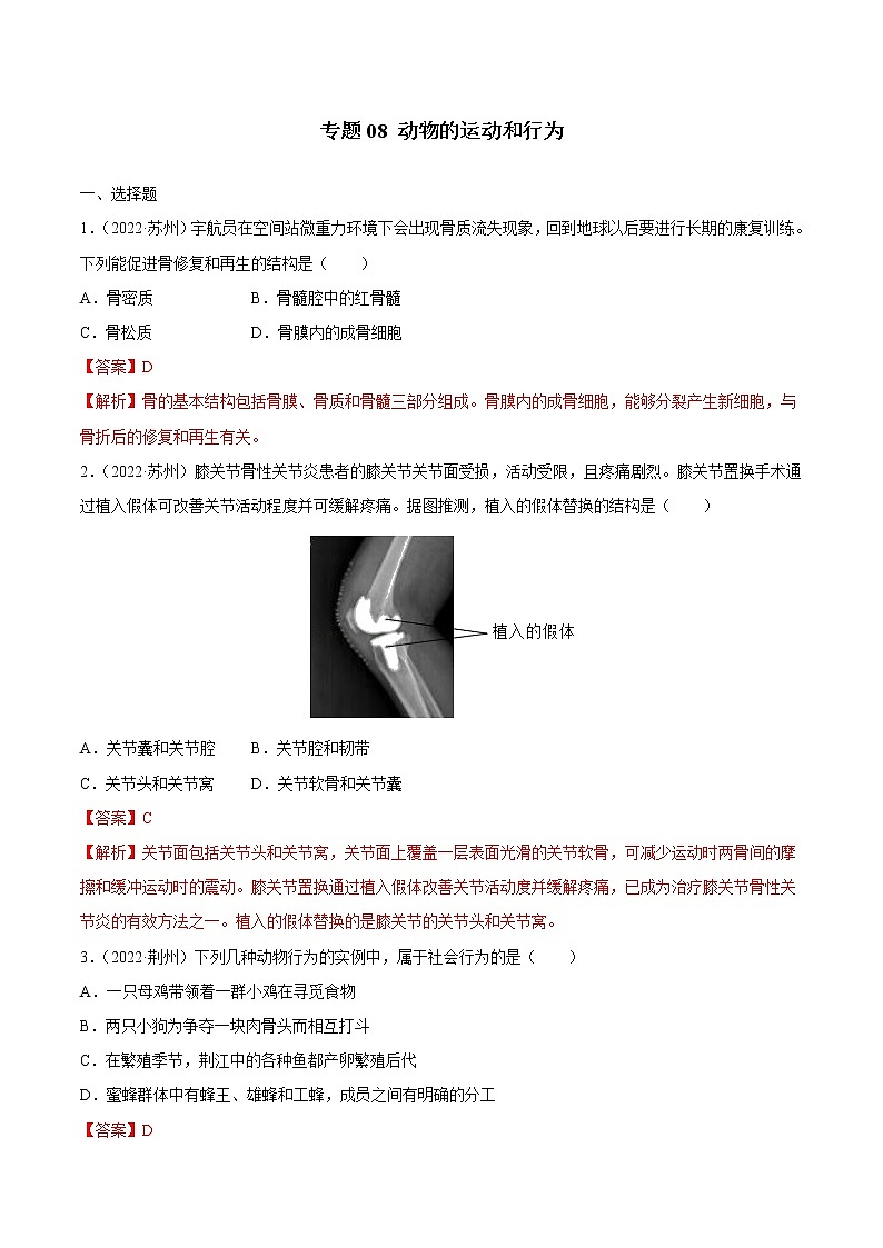 初中生物中考复习 专题08 动物的运动和行为-三年（2020-2022）中考生物真题分项汇编（全国通用）（解析版）01