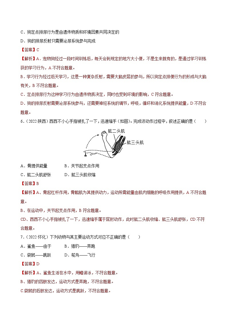 初中生物中考复习 专题08 动物的运动和行为-三年（2020-2022）中考生物真题分项汇编（全国通用）（解析版）03
