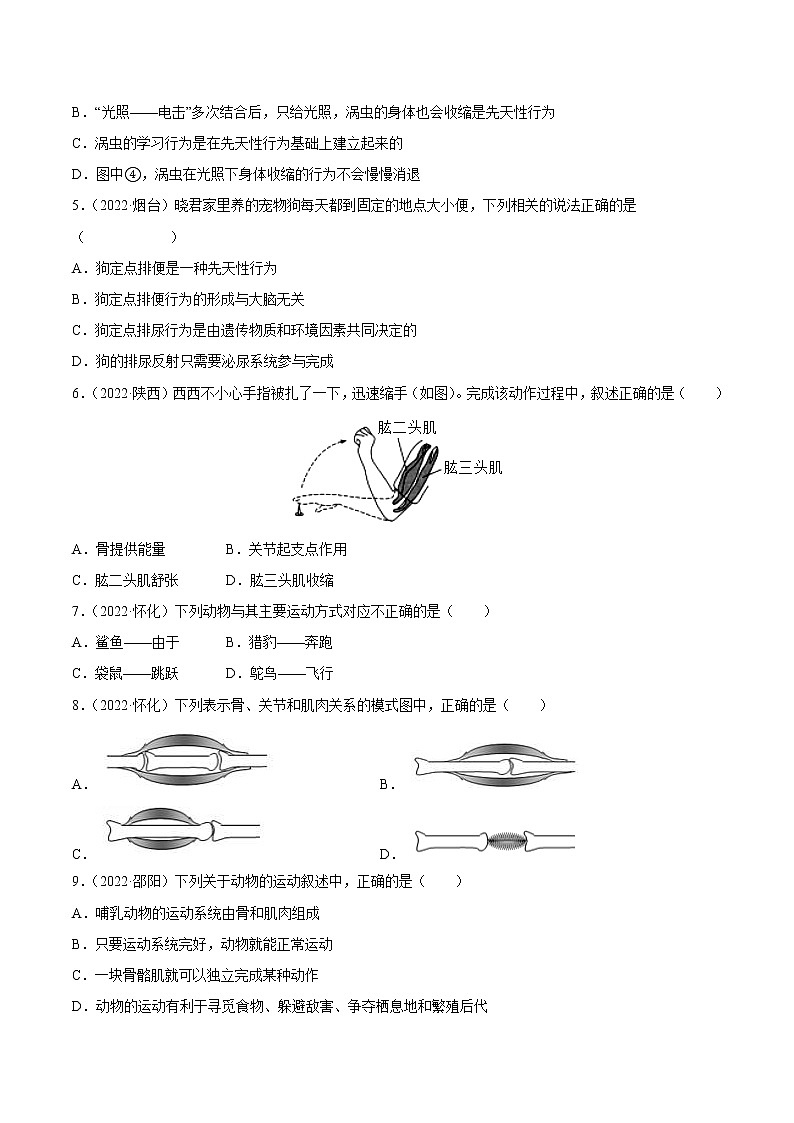 初中生物中考复习 专题08 动物的运动和行为-三年（2020-2022）中考生物真题分项汇编（全国通用）（原卷版）02