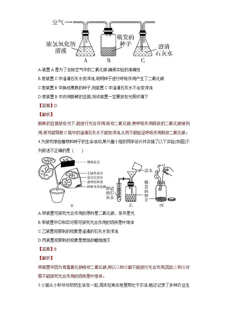 初中生物中考复习 专题08 绿色植物的呼吸作用（练习）（解析版）02