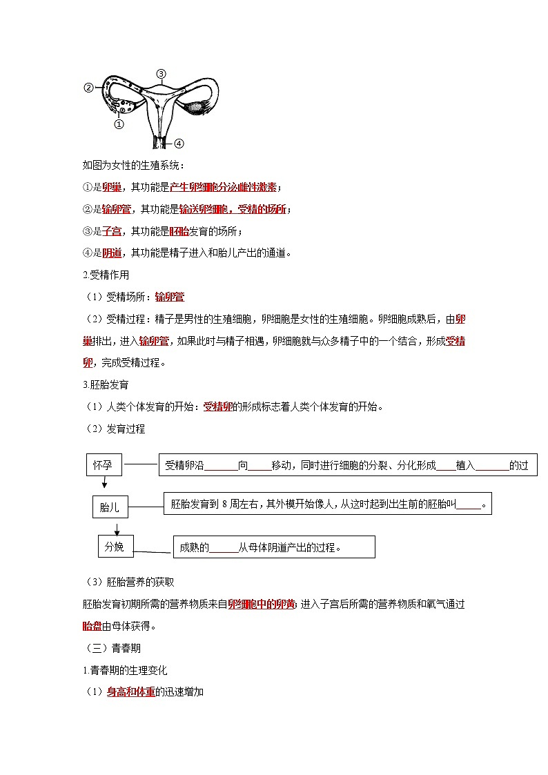初中生物中考复习 专题08 人的由来（解析版）第2页