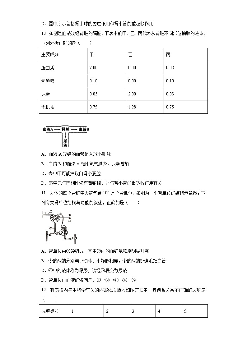 初中生物中考复习 专题08 人体内废物的排出（原卷版）第3页