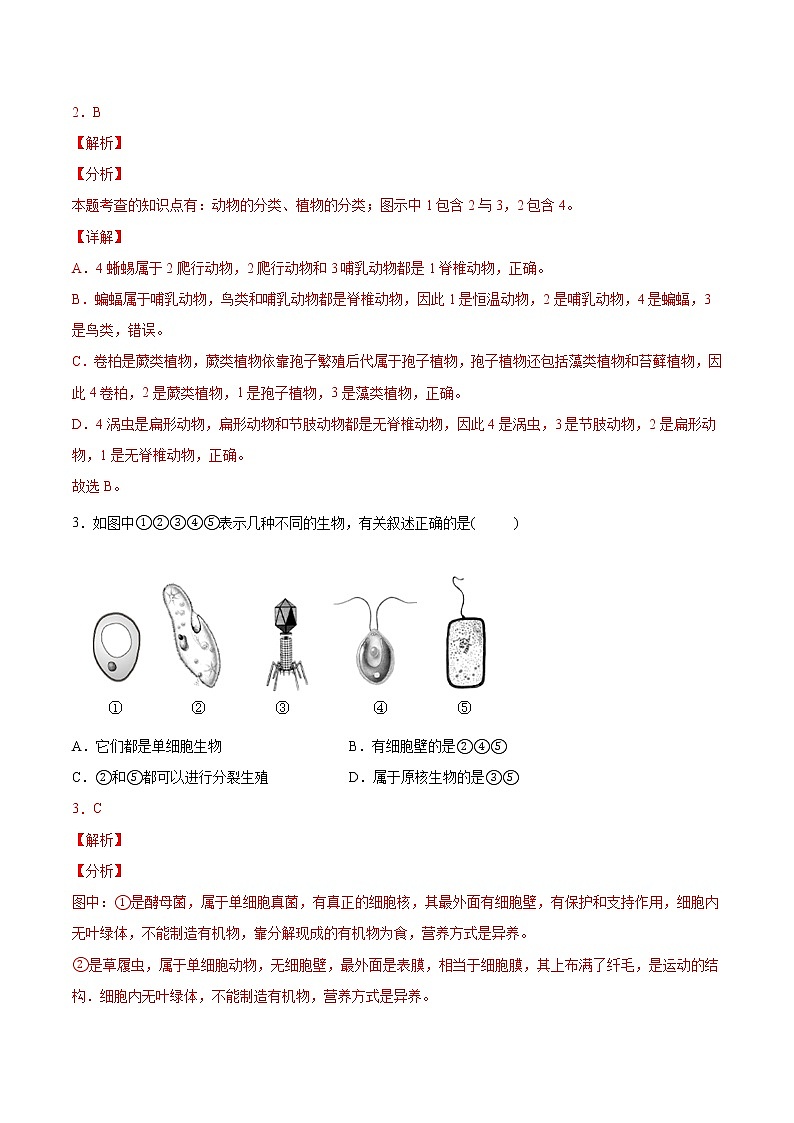 初中生物中考复习 专题08 生物的多样性（综合提分练）-【过专题】2022年中考生物二轮精准高效复习（解析版）第2页