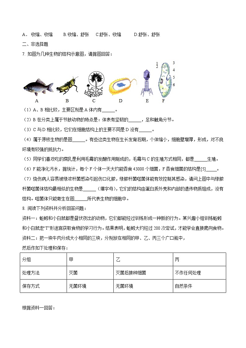 初中生物中考复习 专题08 生物圈中的其他生物-2020年中考生物挑战压轴题（原卷版）02