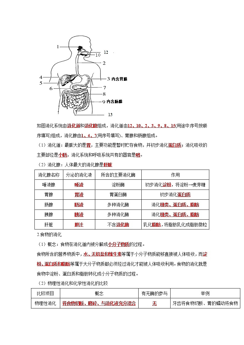 初中生物中考复习 专题09 人体的营养（解析版）第3页